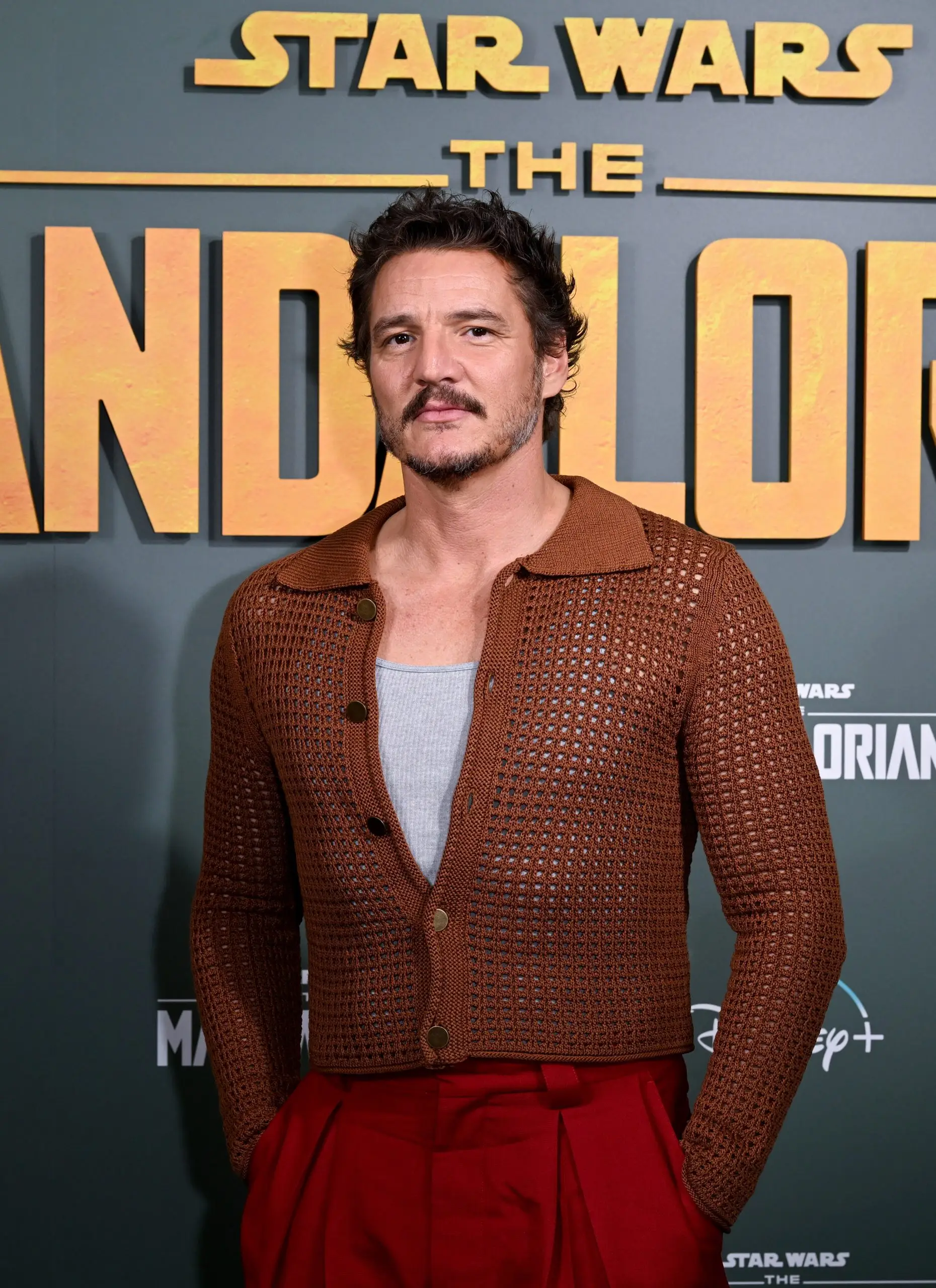 Pedro Pascal kuva 2