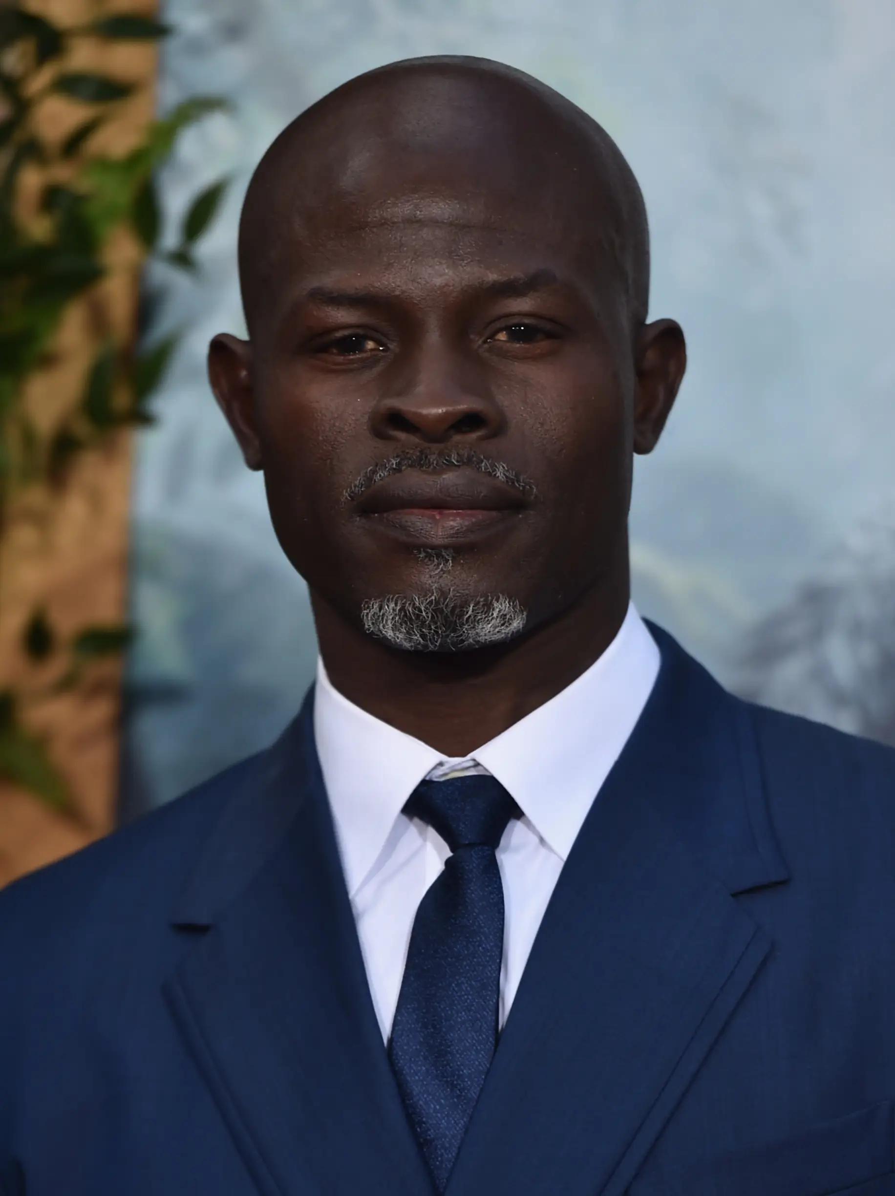 Djimon Hounsou kuva 2