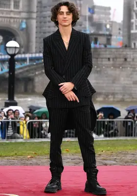 Timothee Chalamet Body Measurements Statistics