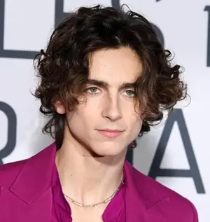 Actor Timothee Chalamet