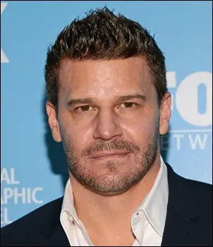 Actor David Boreanaz