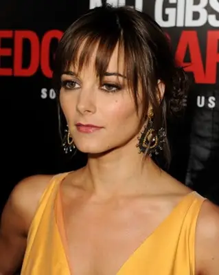 Actress Bojana Novakovic