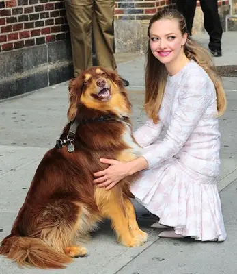 Amanda Seyfried Biography