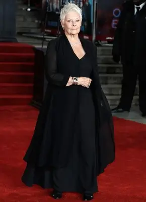 Judi Dench Measurements and Bio