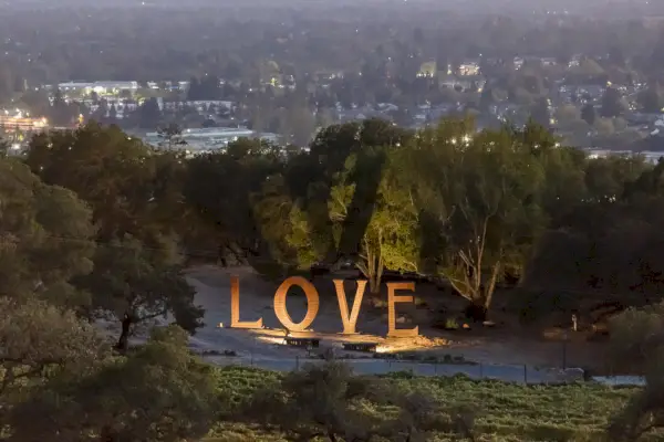 Oświetlona rzeźba słowa MIŁOŚĆ otoczona drzewami