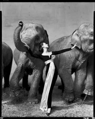 Nainen pitkähihaisessa mekossa poseeraa norsujen edessä arkut ylhäällä