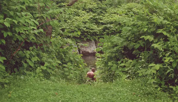 Zdjęcie mężczyzny odwróconego tyłem do aparatu, ledwo widocznego wśród soczystych zielonych liści. Wygląda na to, że ma zamiar wejść do rzeki.