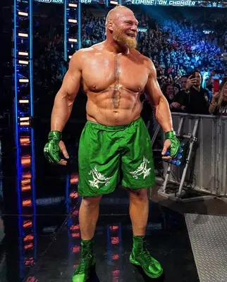 Brock Lesnar Height Weight Biceps Size
