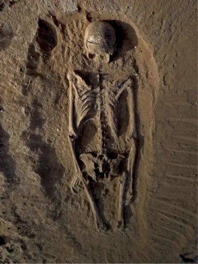 Tämä luuranko oli miehen luuranko, joka löydettiin makaamassa laguunien sedimenteistä. Kallossa on useita vaurioita edessä ja vasemmalla puolella, mikä on johdonmukaista tylpän työkalun aiheuttamien haavojen kanssa (Kiitos: Dr. Marta Mirazon Lahr, tehostanut Fabio Lahr)