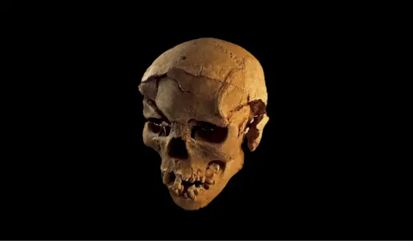 Varhaisimmat todisteet väkivaltaisista ihmiskonflikteista on löydetty