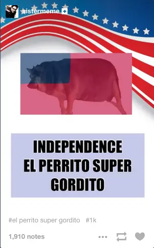 Alkuperäinen El Perrito Super Gordito ensimmäisessä profiilikuvassaan. (Kuva: Facebook)