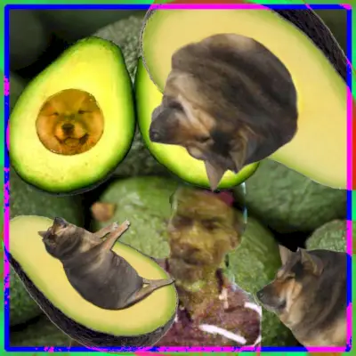 Monilla on ilon, rauhan ja/tai ihailun teemoja, mutta monet ovat melko satunnaisia. (Kuva: Facebook)