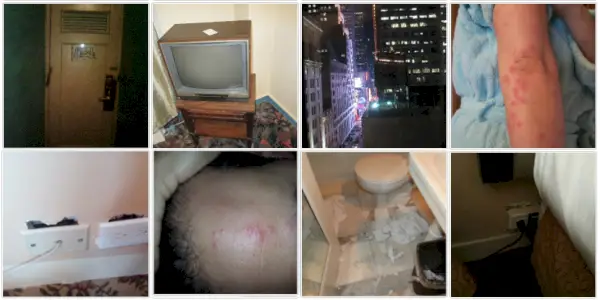 Valikoima vieraiden TripAdvisoriin lataamia kuvia