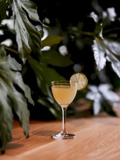 appelsiini cocktail