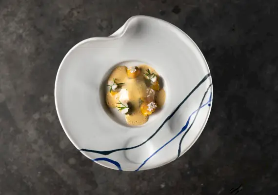 lautanen, jossa kastetaan ruokaa