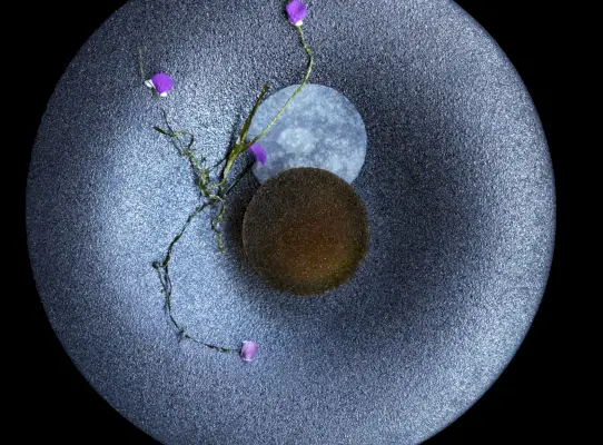 vihreä tyylikäs sisustusravintola