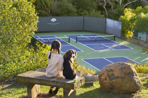 En utsikt över domstolar med staket