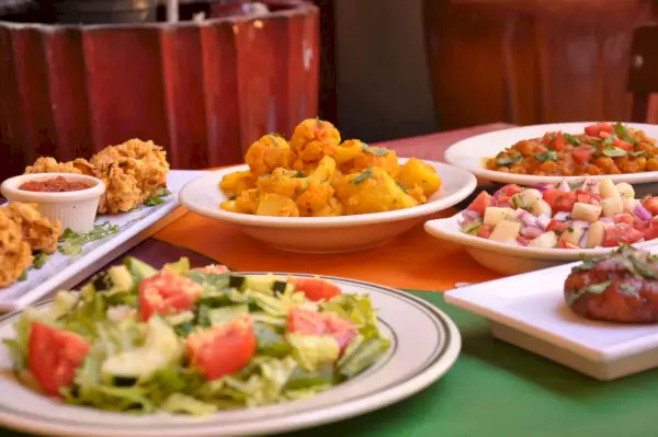 Dania od Electric Karma