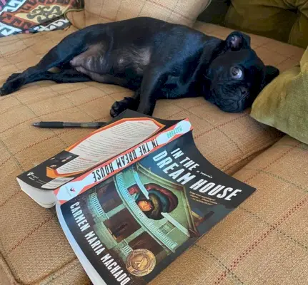 És mare d'un adorable carlin