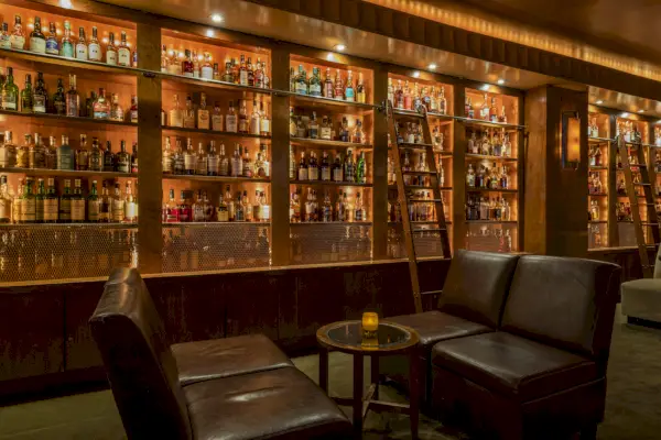 Quattro sedie in pelle marrone davanti a un pensile in stile biblioteca pieno di bottiglie di alcolici e una scala di legno per raggiungere quelle sul ripiano più alto.