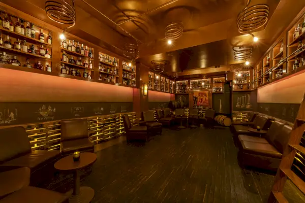 sedie in pelle e bar accanto a un pensile in stile biblioteca pieno di bottiglie di alcolici e una scala di legno per raggiungere quelle sul ripiano più alto.