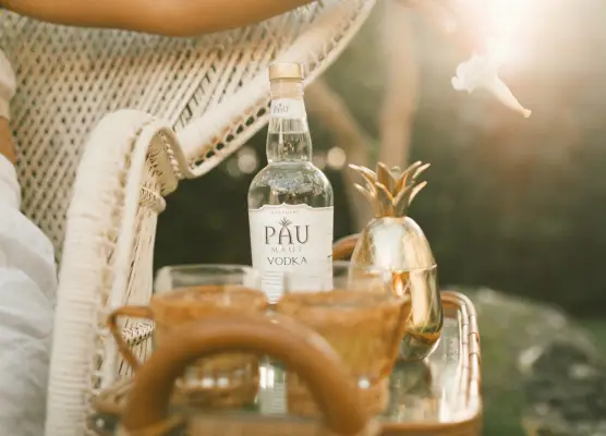 poseerattu pullo vodkaa.