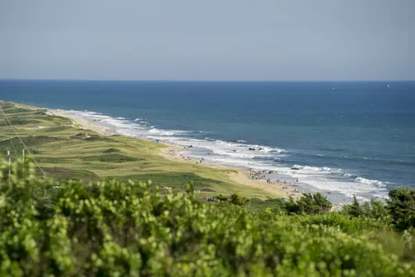 Una vista in lontananza di Aquinnah Beach e delle persone che nuotano lì, incastonate tra campi verdi e l'oceano