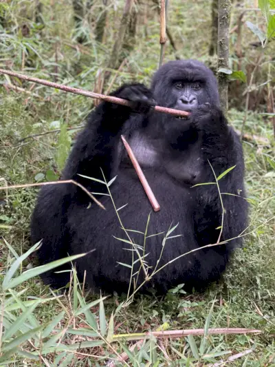 wnętrze obozu Tembo Plains w Zimbabwe