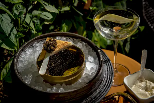 caviale e champagne su un piatto
