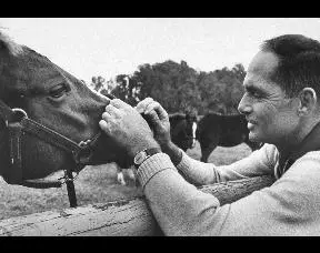 UES-asunto sijoitusrahasto King myy Cocksure Todd Cohenille ja hänen Cosmo Girlille