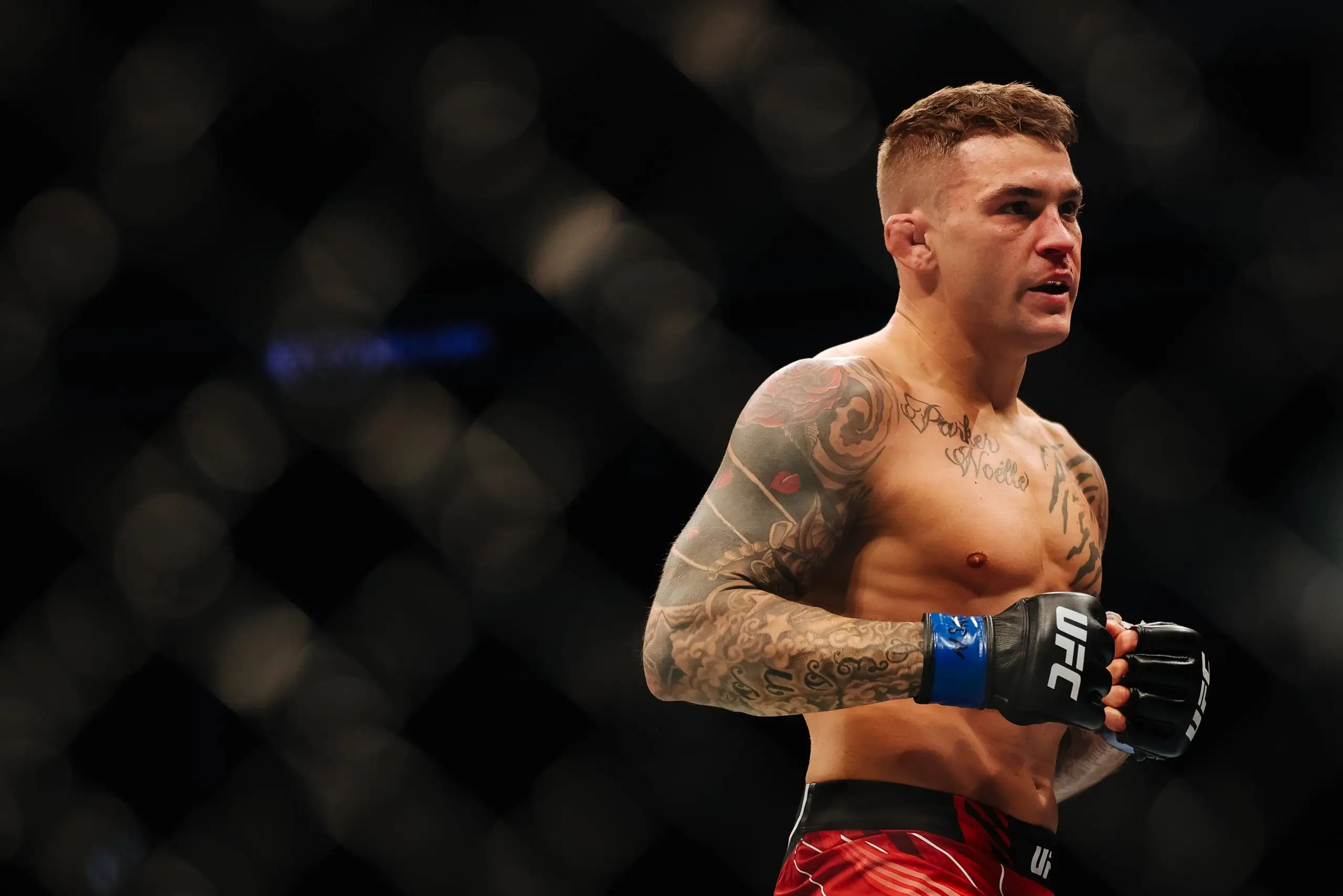 Dustin Poirier foto 3