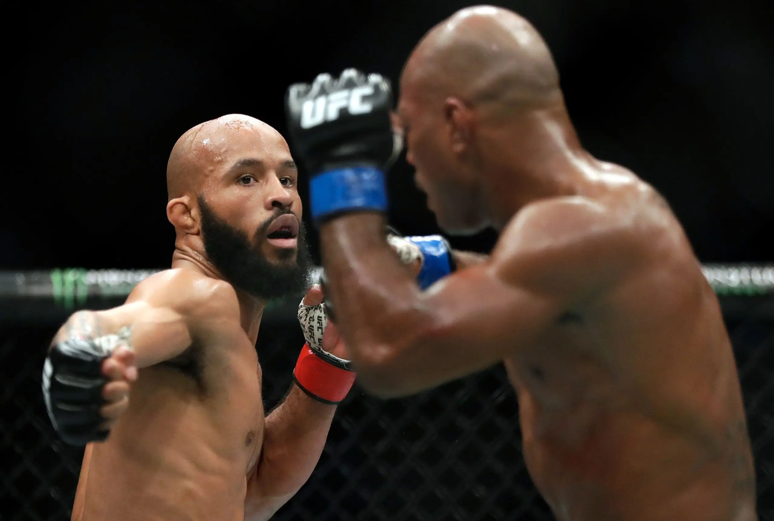 Demetrious Johnson kuva 2