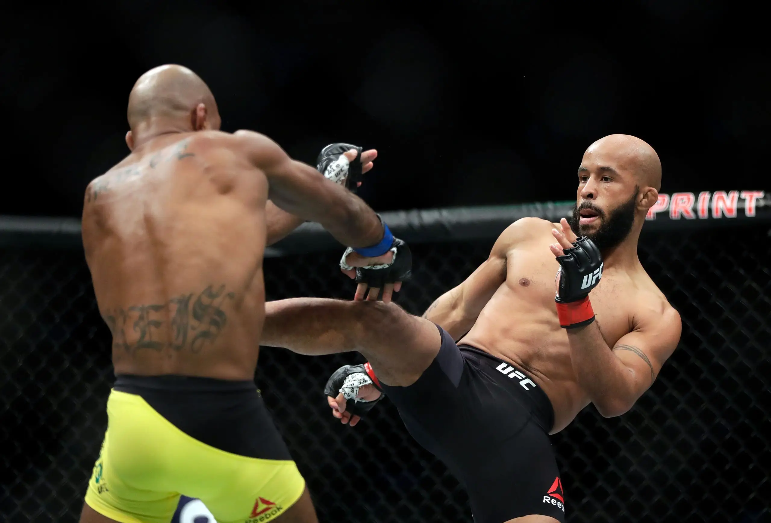 Demetrious Johnson kuva 3