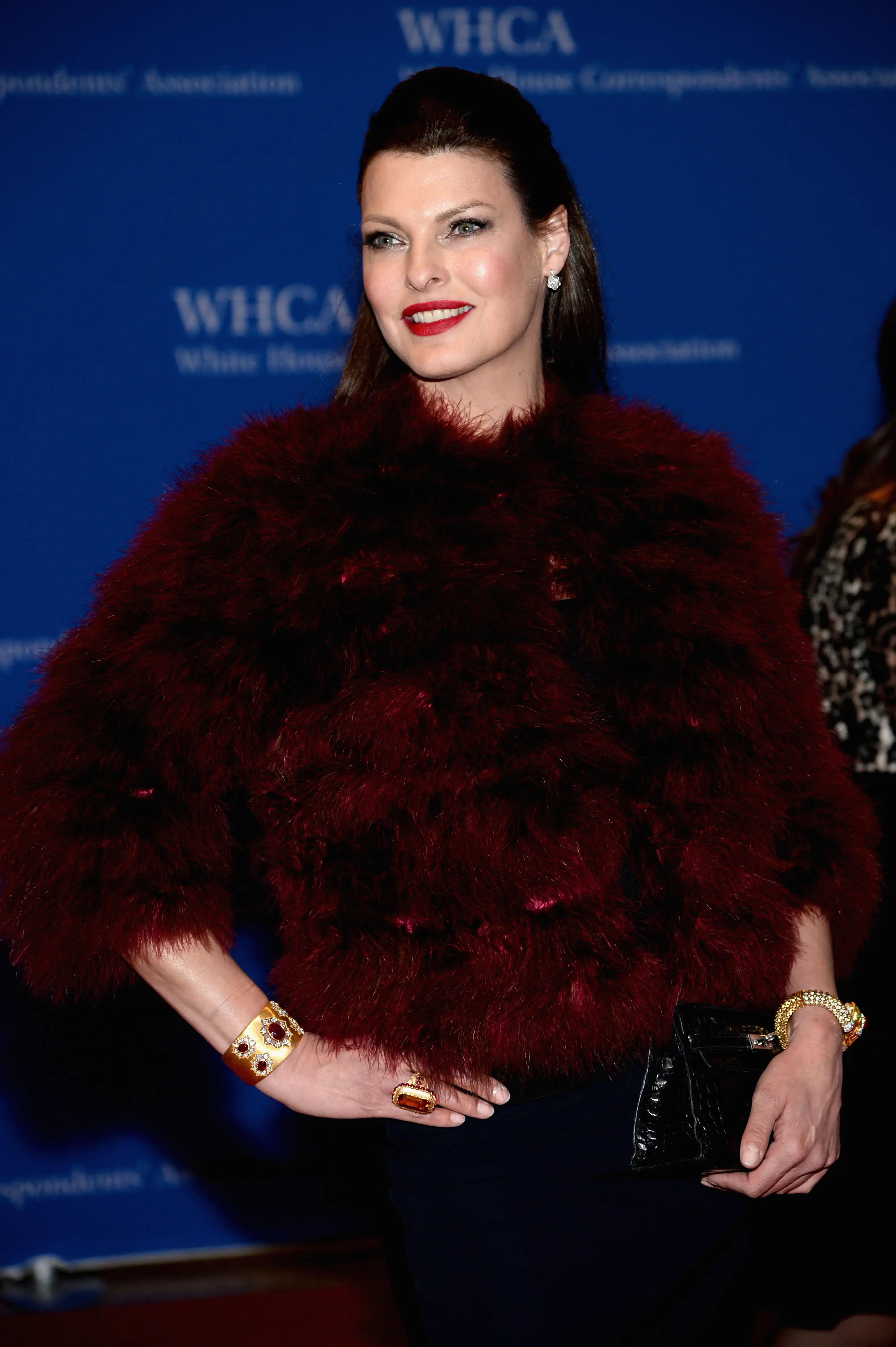 Linda Evangelista kuva 2