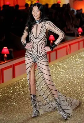 Liu Wen Body Measurements