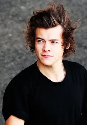 Harry Styles Biography