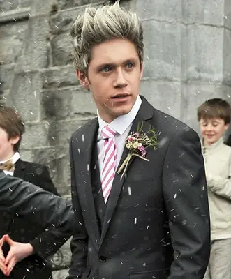 Niall Horan Biography