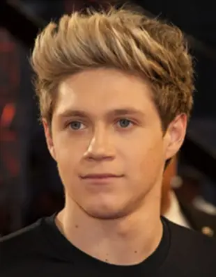 Niall horan a colore preferito musica da cibo per cibo hobby bio