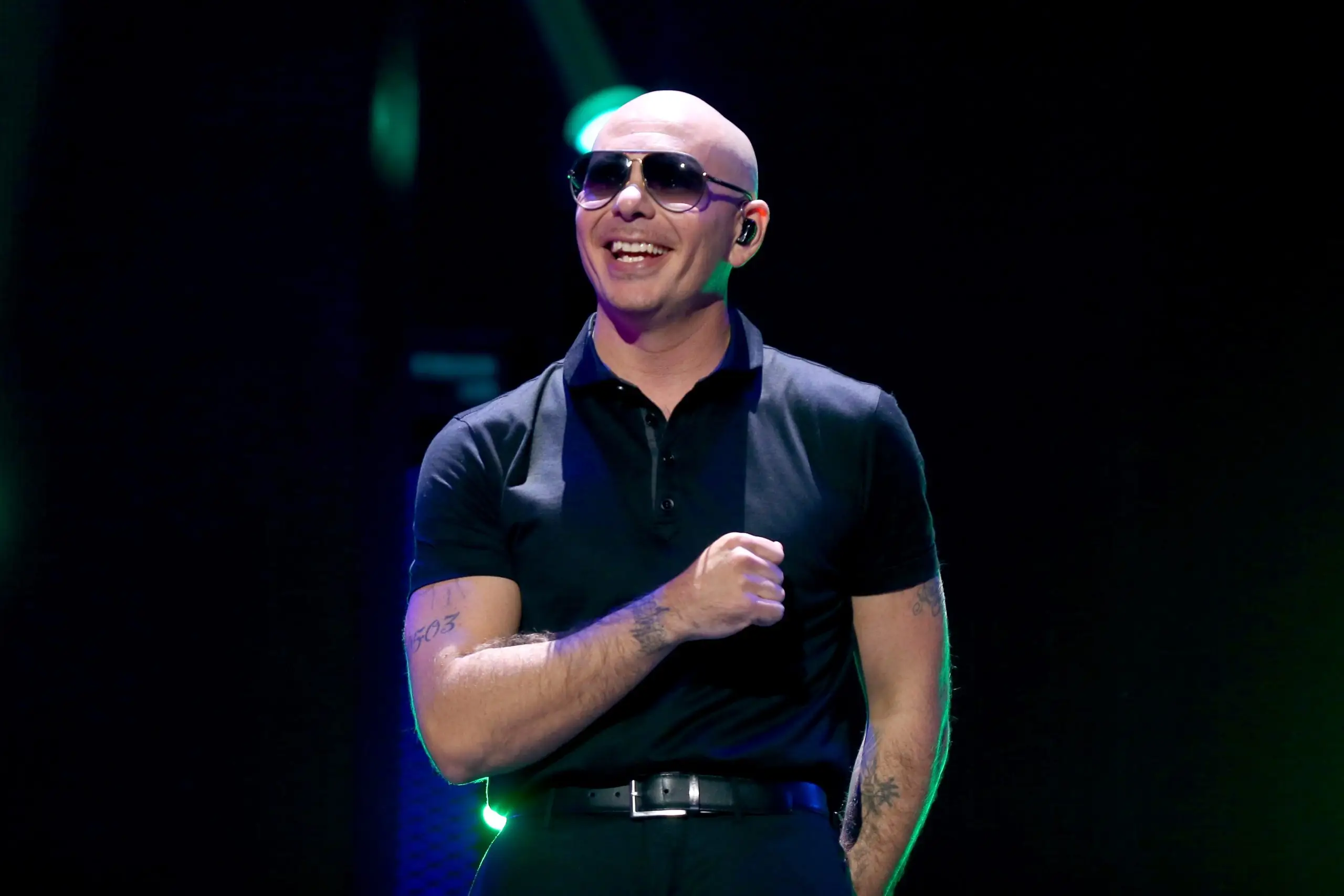Pitbull kuva