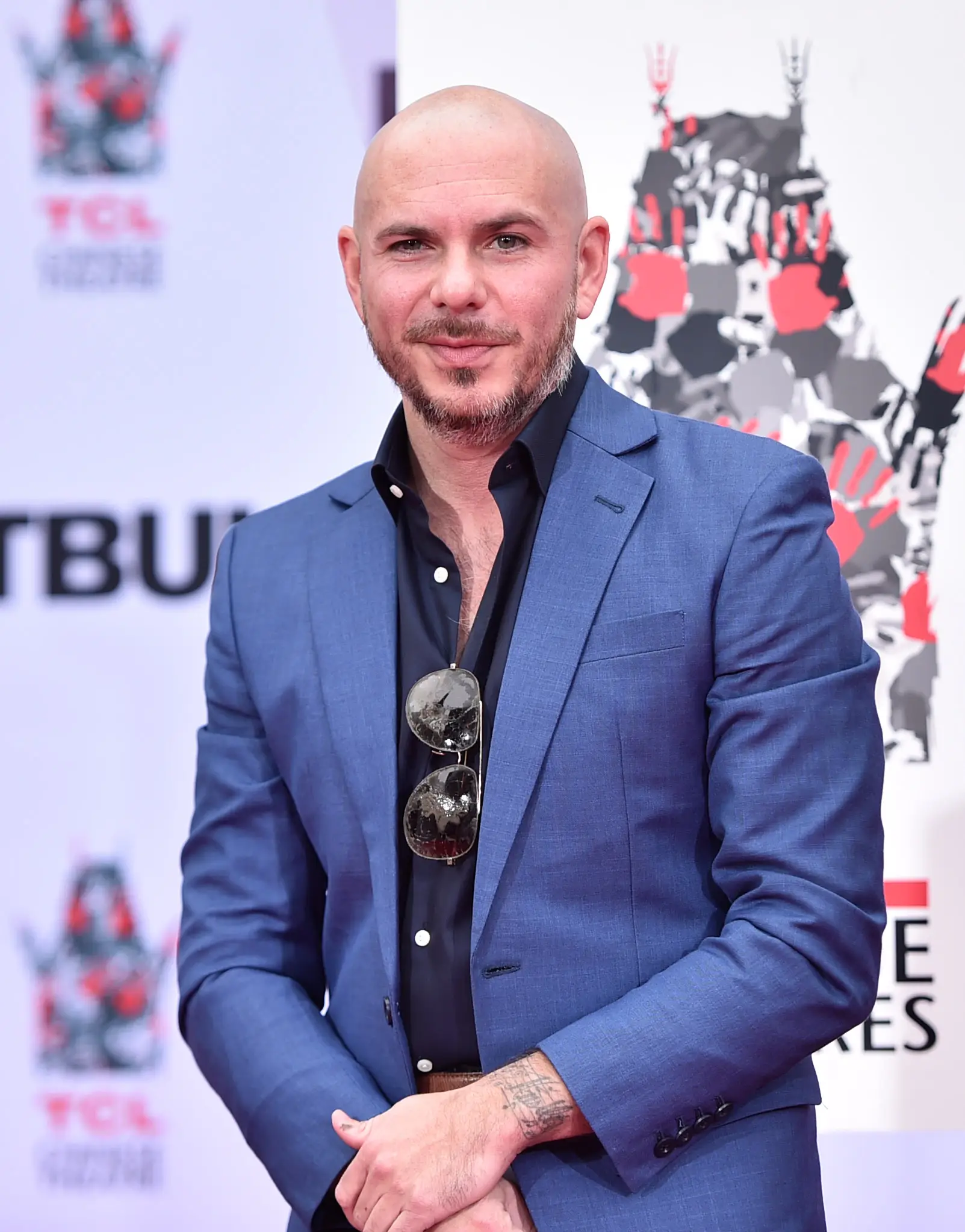 Pitbull kuva 3