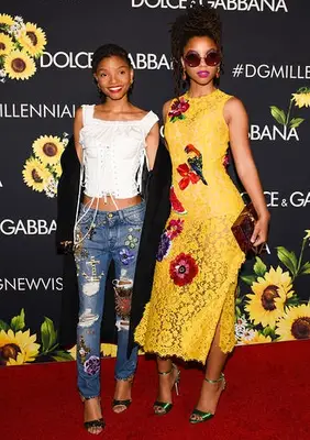 Halle Bailey Bio and Facts