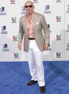 Pitbull Height Body Shape