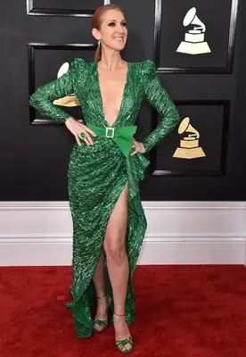 Celine Dion Body Measurements Statistics