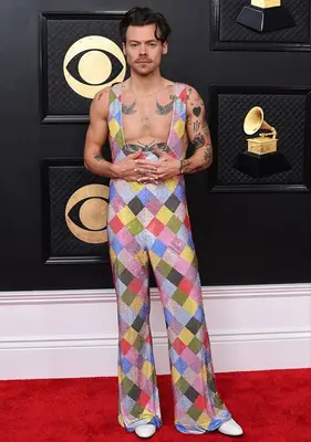 Harry Styles Body Measurements Statistics