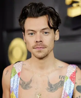 Harry Styles Body Profile