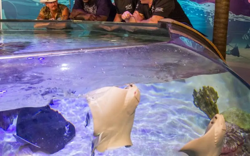 Brett Raymer Net Worth - Wiki, ikä, paino ja pituus, ihmissuhteet, perhe ja paljon muuta