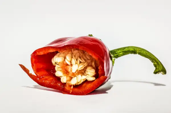 Amazon, siemenhuijaukset ja sinä: Verkkopuutarhanhoitoyhteisölle tarjoillaan penispippuria