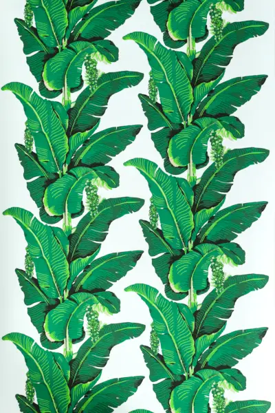 tapeta z zielonymi liśćmi bananowca