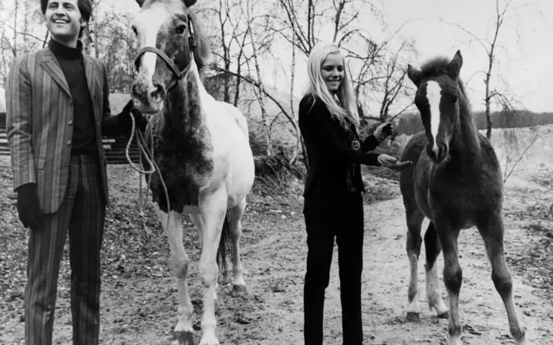 Joe Dassin Net Worth - Wiki, ikä, paino ja pituus, ihmissuhteet, perhe ja paljon muuta