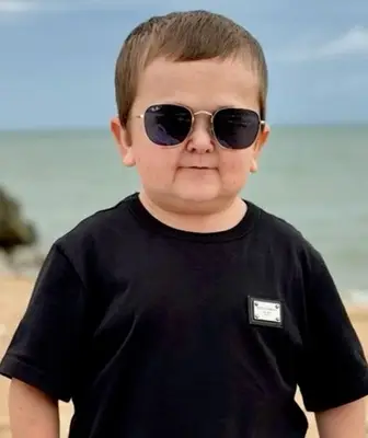 Hasbulla Magomedov pesos in termini di peso statistico del valore netto